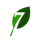 group 7 foods leaf
