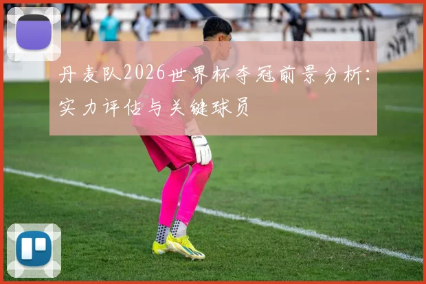 丹麦队2026世界杯夺冠前景分析：实力评估与关键球员