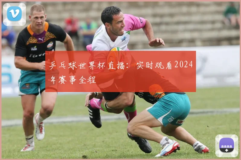 乒乓球世界杯直播：实时观看2024年赛事全程
